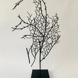 Elkhorn sculpture #2 2023