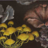 Mushrooming out 2024