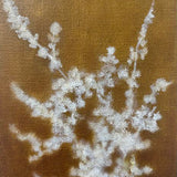 Ground cover IV 2026