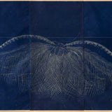 Dawn survey indigo N.D.