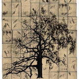 Pages from the diary of lost souls N.D.