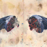 Secret life of birds VI  N.D.