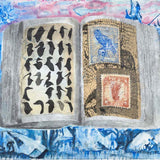 Australian Gothic No. 3  N.D.