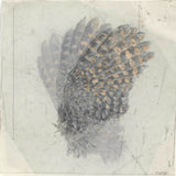 The early days of ornithology #7  N.D.