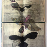 The early days of ornithology #10  N.D.