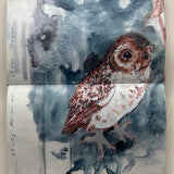 Study for an owl after Dürer  N.D.