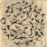 Australian Gothic murmuration  N.D.