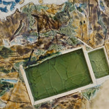 Mona Vale rock platform 2021