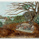 Study for the picnic spot, Balls Head 2023