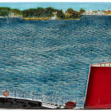 View from Balls Head to Birchgrove 2023