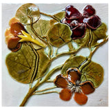 Nasturtium study I 2023