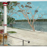 Winter morning, Nielsen Park 2022