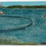 The view of the net, Nielsen Park 2022