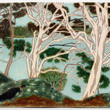 Bush Turkey, Balls Head 2025