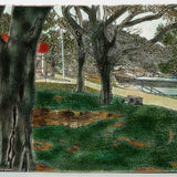 Nielsen Park Cafe on a winter's morning 2022