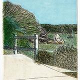 The ramp, Nielsen Park 2022