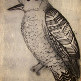 Hoot (second state) 2009