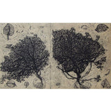 Survey page 5, 2nd state 2000