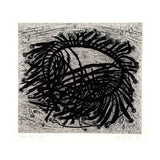 Wings of kelp - page 3 2009