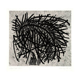 Wings of kelp - page 2 2009