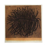 Wings of kelp - page 1 2009