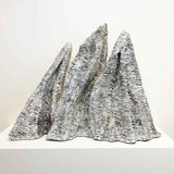 Silver terra 2014-24