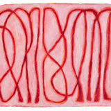 Lasso (state II)  2025