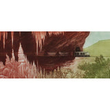 Succulent landscape 2010