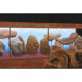 Venus and the meteorites 2023