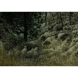 The peaceable kingdom 2010