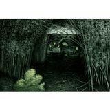 Fluorescence II 2011