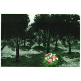 Fluorescence III 2011