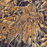 Leafy Seadragon 2003