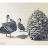 Duck Perspective 2001