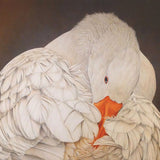 Centennial Park Goose 2026