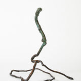 New snakes in town 1 2019