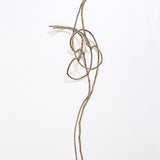 Bone knot 2026