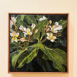A bunch of frangipani I 2026