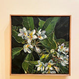 A bunch of frangipani II 2026
