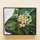 Frangipani I 2026