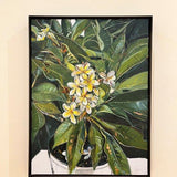 Frangipani II 2026