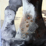 Wanderers in the Desert of the Real: Wallerawang Powerstation 2009