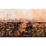 Falling star 1 - study 2011