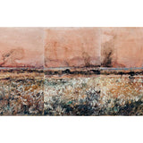 Falling star 5 - study 2011