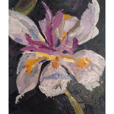 Iris 2011