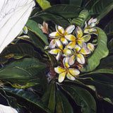 Frangipani I 2026