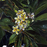 Frangipani II 2026