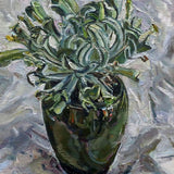 Succulent in green pot 2024