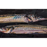 Two garfish 2026