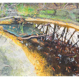 The bushwalk on birdy walk number 2, homage to Milton Avery 2024